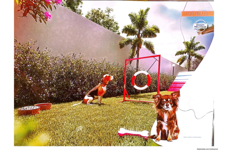 ADVANCE MIRAGE JOAO DIAS